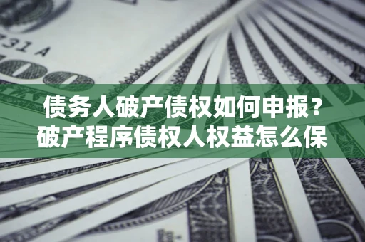 北京债务人破产债权如何申报？破产程序债权人权益怎么保障？
