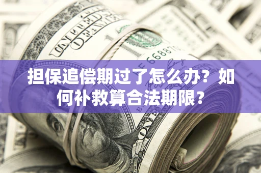 北京担保追偿期过了怎么办？如何补救算合法期限？