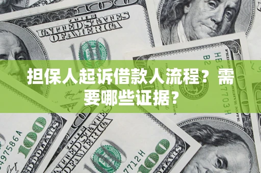 北京担保人起诉借款人流程？需要哪些证据？