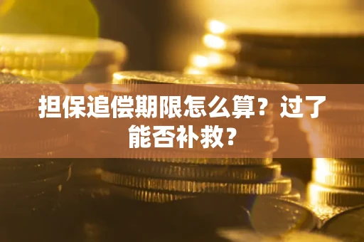 北京担保追偿期限怎么算？过了能否补救？